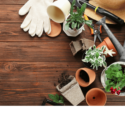 Tips to Getting Your Spring Garden Ready